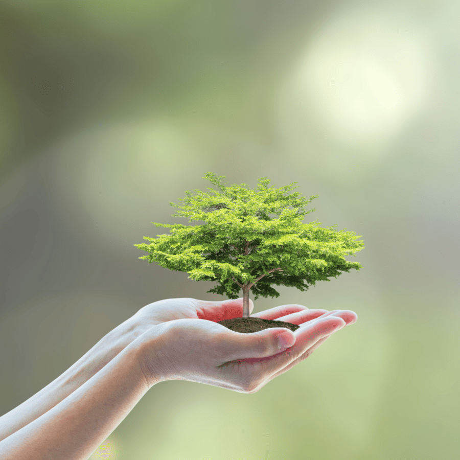 EcoVadis awards Platinum Medal to Befimmo