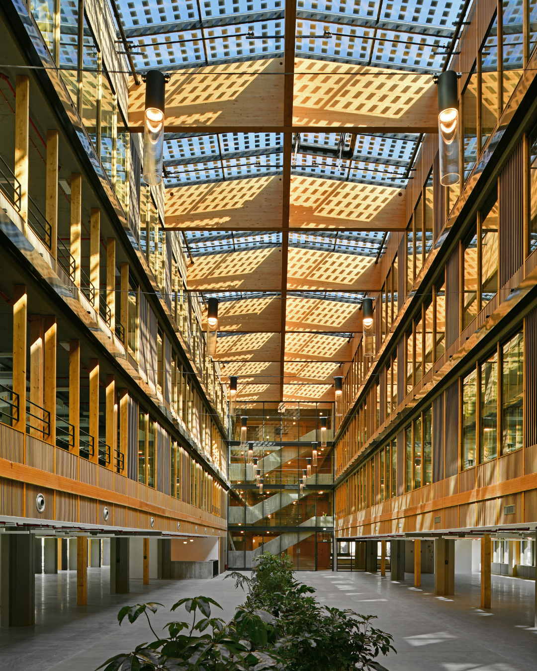 Pacheco: the building is live