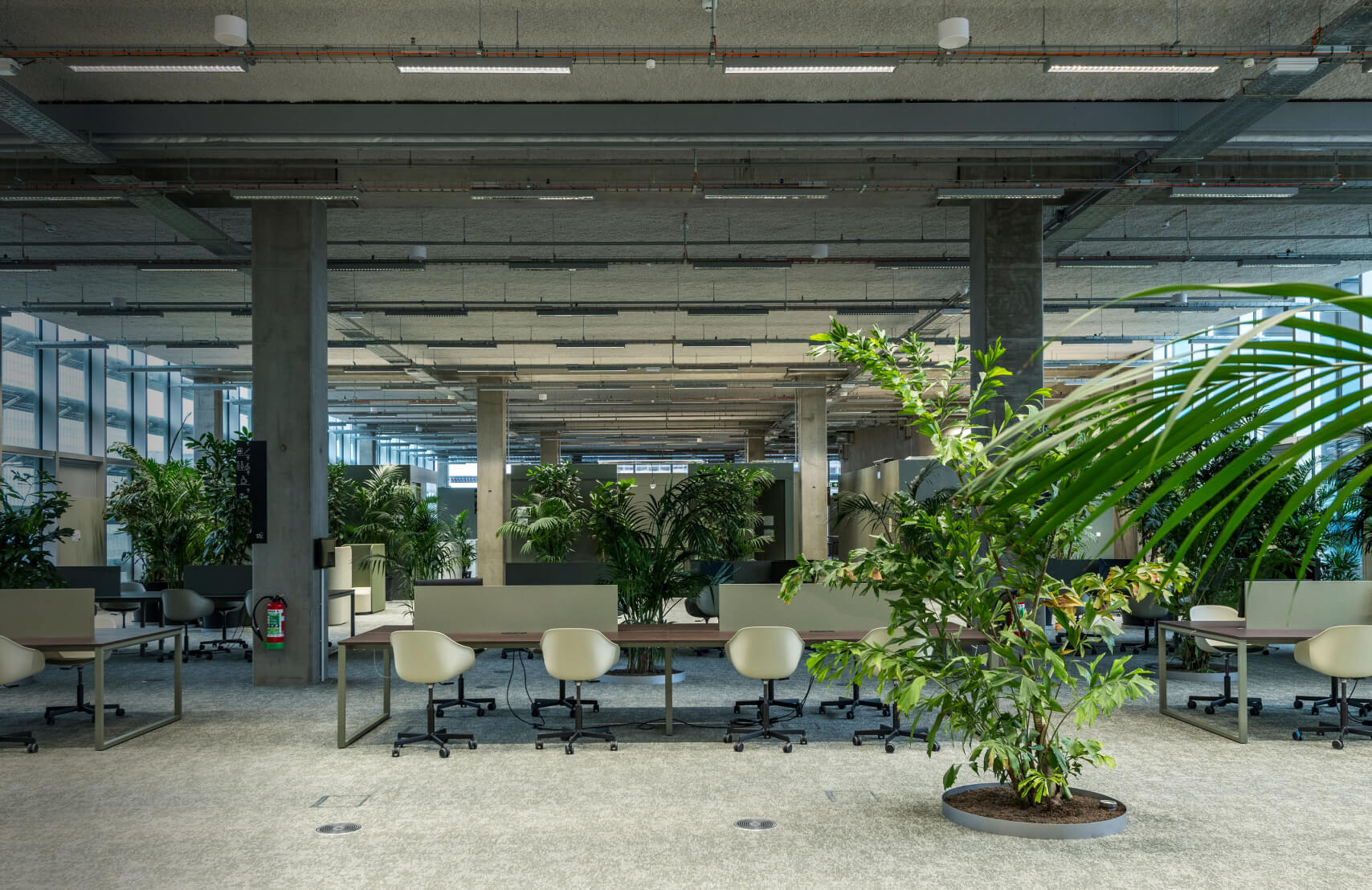 High and open spaces - ZIN Befimmo