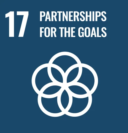 e-web-goal-17